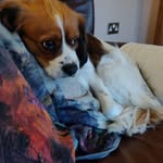 Deirdre Duffy - @deirdreduffy54 - Instagram