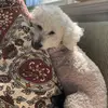 ford_deirdre - @ford_deirdre - TikTok