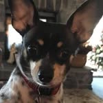 Deidre Gutierrez - @deidre.gutierrez - Instagram