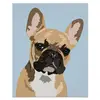 Deirdre Hynes210 - @whodnotdogs - TikTok