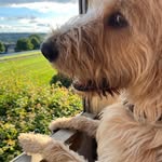 Deirdre Johnston - @dooglejohnston - Instagram