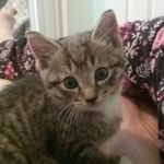 Deirdre Joyce Guthrie - @deirdreguthrie - Instagram