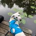 Deirdre Lemke - Facebook
