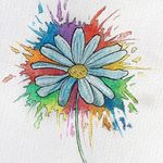 Deirdre Macklin - @deirdremacklinphotography - Instagram