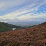 Deirdre Malone - @deirdre.malone.3 - Instagram