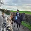 deirdremccabe51 - @deirdremccabe51 - TikTok