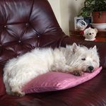 Deirdre McDermott - @mcdermottdeirdre - Instagram