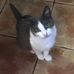Deirdre McDonnell - Facebook