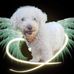 Deirdre Mcgowan - Facebook