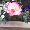 Deirdre Mcgowan - @deirdre.mcgowan2gmail.co - TikTok