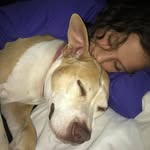 Deirdre McGowan-Whitaker - @mcgowanwhitaker - Instagram