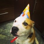 Deirdre Miller - @qtp2dee - Instagram