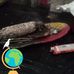 Dierdre Eagle - Facebook