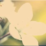 Deirdre Parker - @deir.dreparker1i1l - Instagram