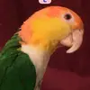 deirdresanders90 - @deirdresanders90 - TikTok
