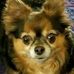 Deirdre Semenza Sargent - Facebook