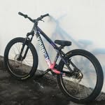 Deise Rosa - @dgr_emanuelcesar2023 - Instagram