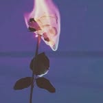 Deja Hines - @heavy.lightning.storms - Instagram