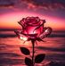 Deka Ali Waberi - Facebook