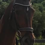 Del Armstrong - @delkeeble - Instagram