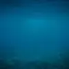 flint.del - @flint.del - TikTok