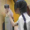 dellamecham - @dellamecham - TikTok