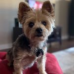 Del Murphy - @del.murphy.3 - Instagram