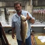 Del Murray - @dmurray1958 - Instagram