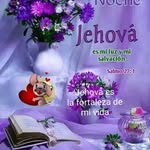 Del Carmen Pamela Navarro - @pamelasilva1772 - Instagram