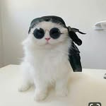 Adelma da Saúde Oliveira - @deloliver52 - Instagram