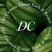 Del Carmen Forest Park And Resort official - Facebook