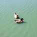Del-Lago Park - Facebook