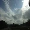 Delilah Paxton - @delilah.paxton - TikTok