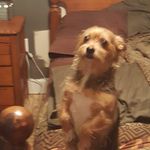Delbert W Pennington - @delbertpennington - Instagram