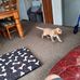 Del Phillips - Facebook
