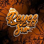 TORNEOS REYES DEL SUR - @torneo.reyesdelsur - Instagram