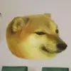 Del Richards - @del.richards - TikTok