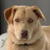 dellrobertson - @dellrobertson - TikTok