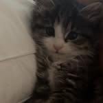 Delrose - @blockdelrose - Instagram