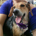 Lana Del Ruff - @lana_del_ruff - Instagram