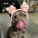 Lana - @lana_delruff - Instagram