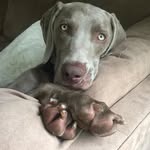 Ryder Del Real - @ryderdelreal - Instagram