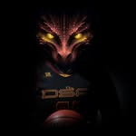 DSA Womens basketball - @delsolhoops - Instagram