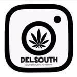 Delsouth_backup - @delsouth_marbellabackup - Instagram