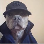 @delsouthcide - Instagram