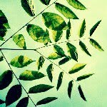 Del Stephenson - @redimp1 - Instagram