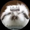 Tanner Adell - @tanner.adell31 - TikTok