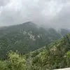 DelToro - @deltoro711 - TikTok