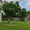Del Torres - @del.torres12 - TikTok