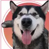 Tucker Del Biagio - @tucker.del.biagio - TikTok